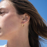 Gold 18K Gold PVD Stainless Steel Half Textured Huggie Hoop Earrings