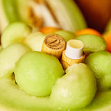 Honeydew Melon Lip Balm | 6-Pack - K & Company