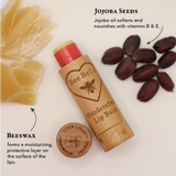 BeeBelle lip balm with ingredients including jojoba seeds and beeswax on a white background