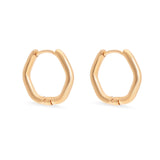 Gold 18K Gold PVD Stainless Steel Rounded Geometric Huggie Hoop Earrings